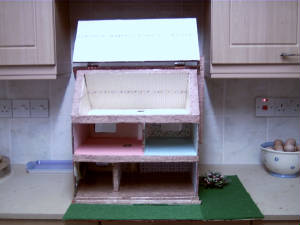 picture0040.jpg